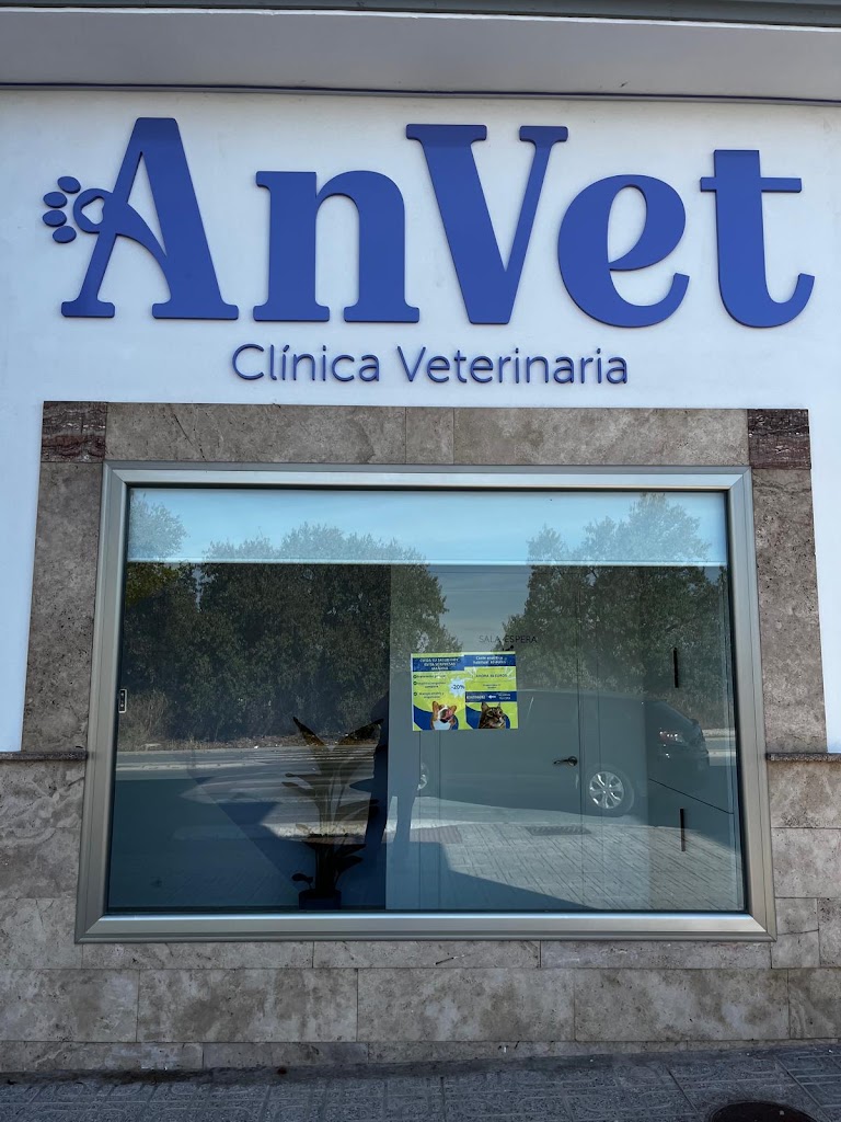 Anvet Clinica Veterinaria Baza — Del propietario