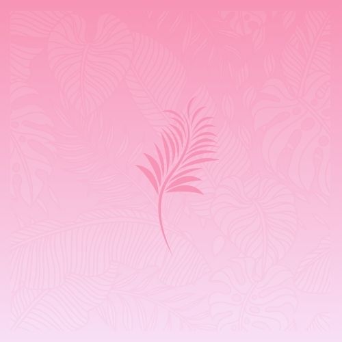 Pinklady Tax Bookkeeping