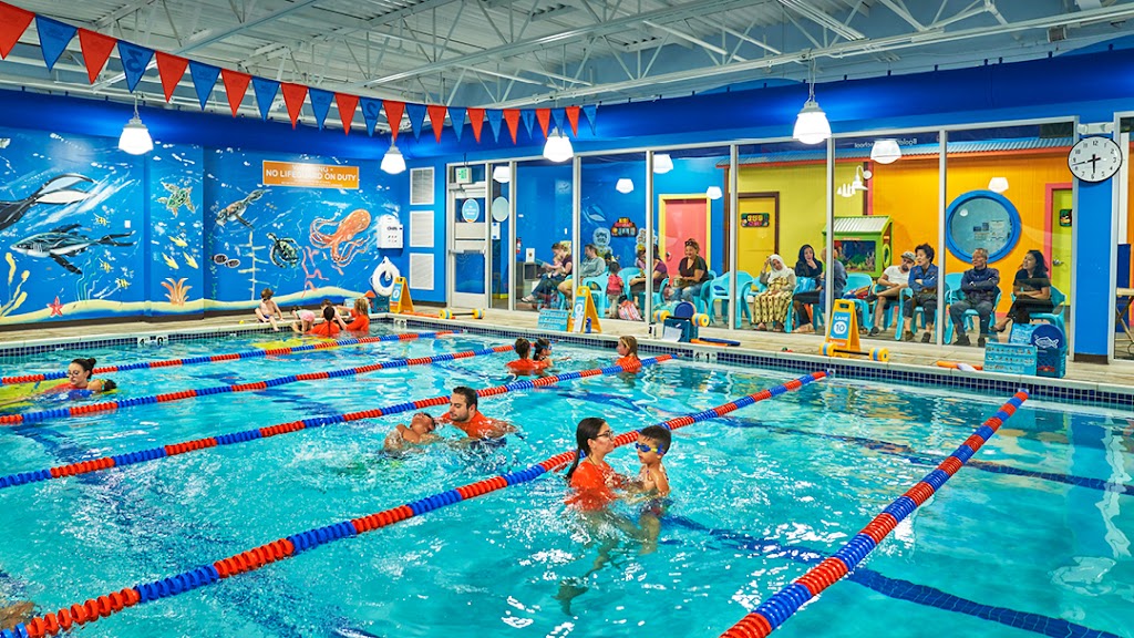 Swimming school in Needham Heights
