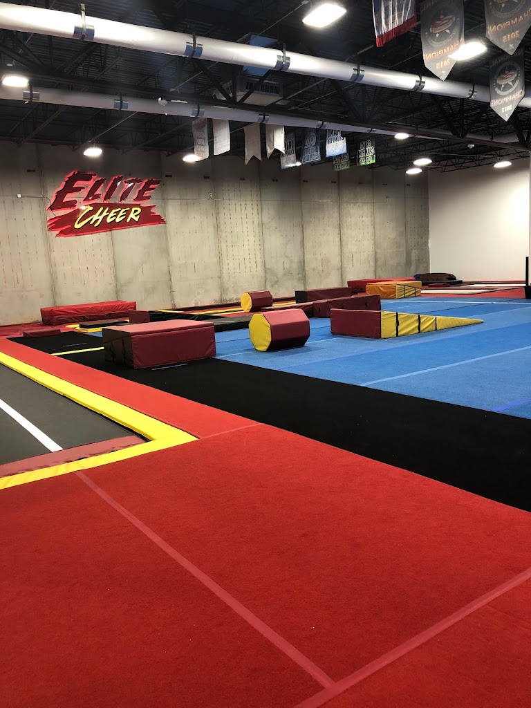  Elite Cheer