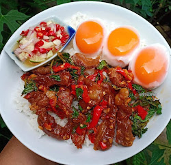 66454e61bf36ee6cb6ab67f2 的照片