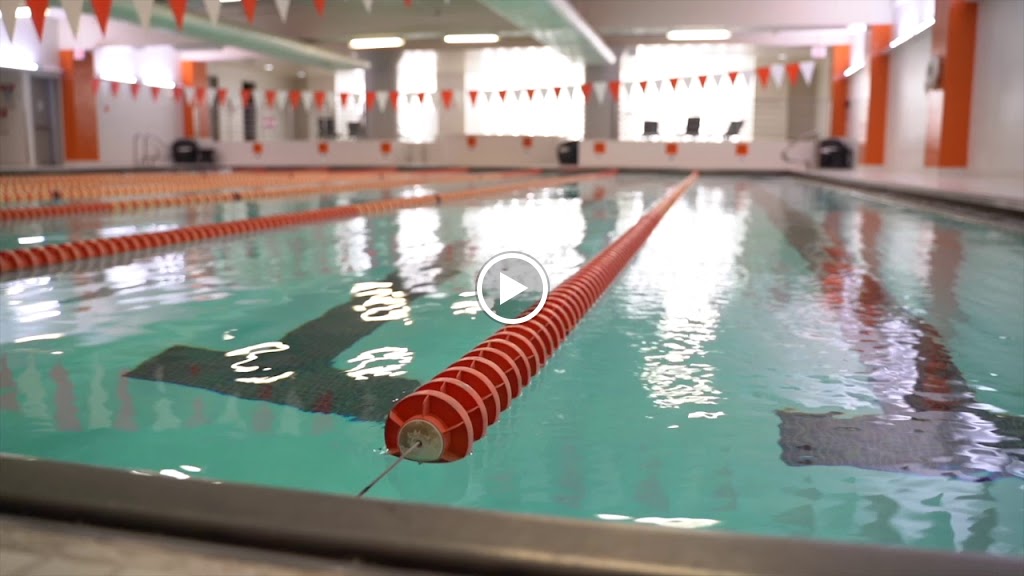  Lakeshore Sport & Fitness