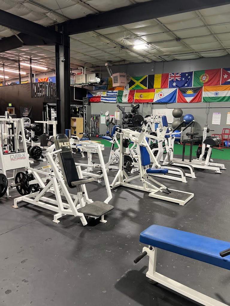  Grizzly Fitness Berlin