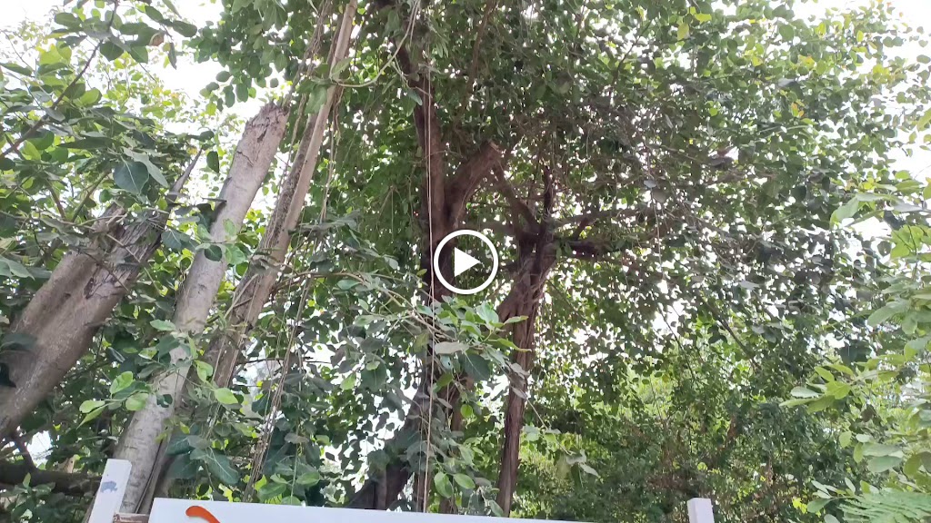Videos