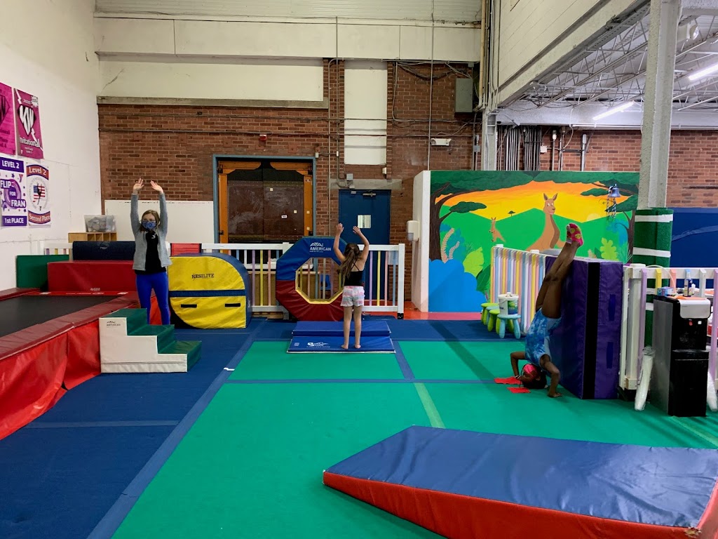  Ymca Gymnastics