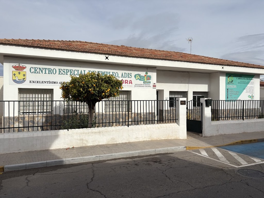 Centro Especial de Empleo, ADIS