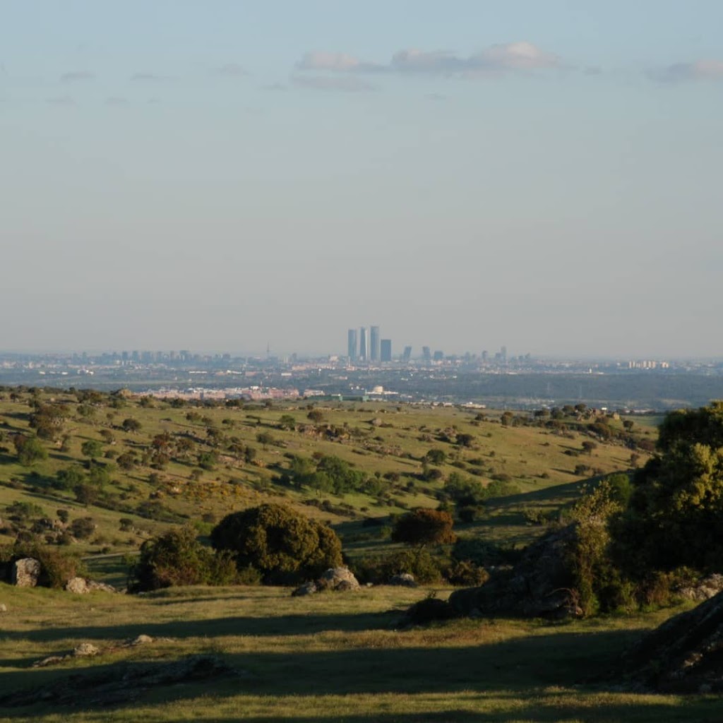 Dehesa De Navalvillar