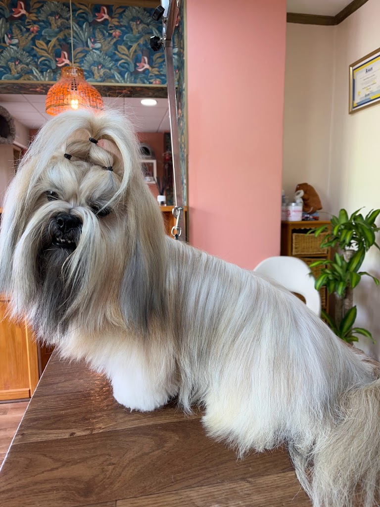 Centro Estetico Canino ALBA LARA