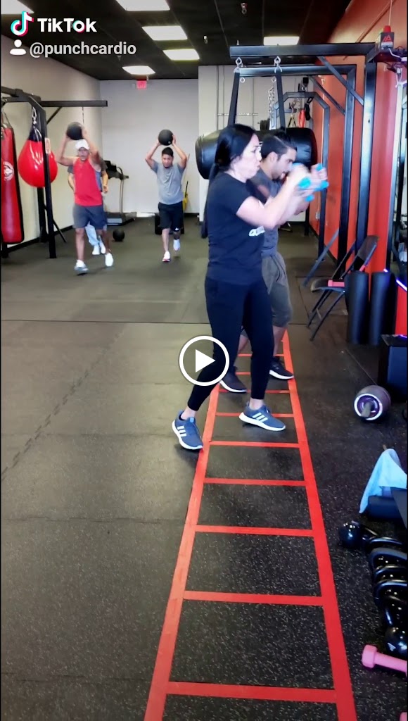  Punch Cardio