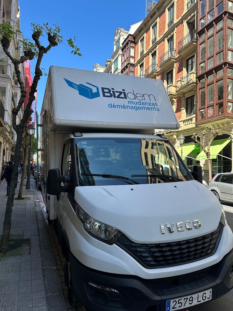 Bizidem Mudanzas