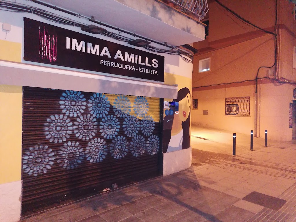 Imma Amills Perruquers Estilistes — Exterior