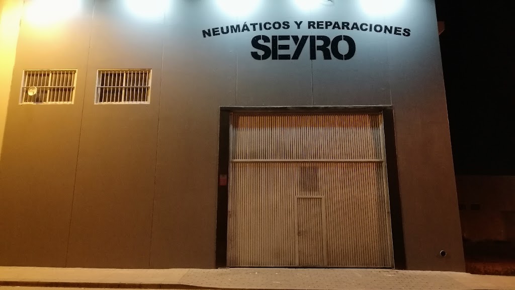neumaticos y reparaciones seyro