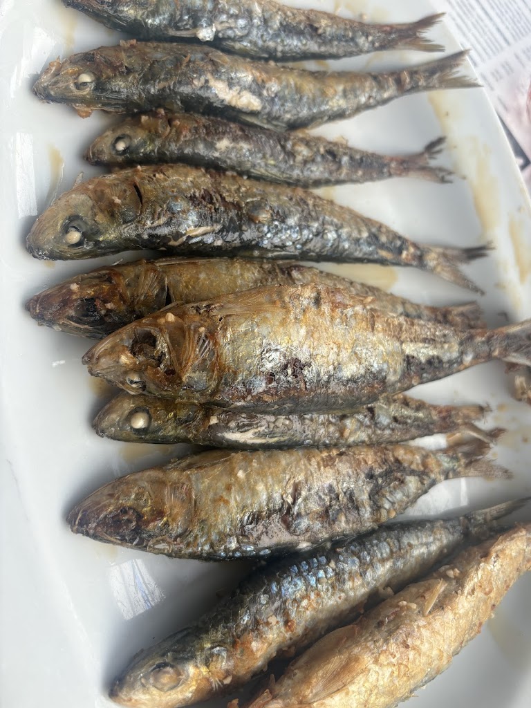 Sardineria Macha