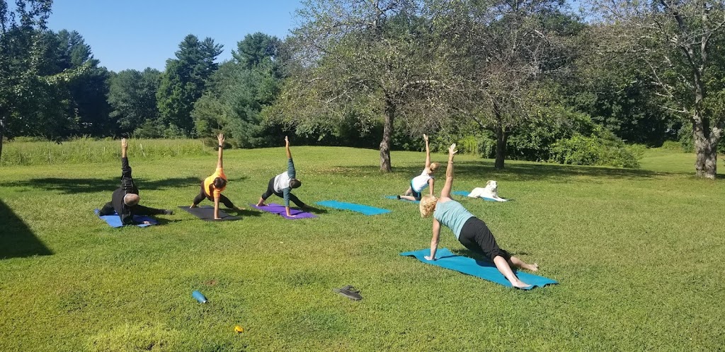  Path to Wellness -- Pilates, Fitness & Post-rehab