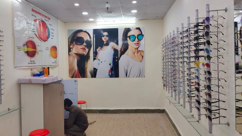 The Optical World