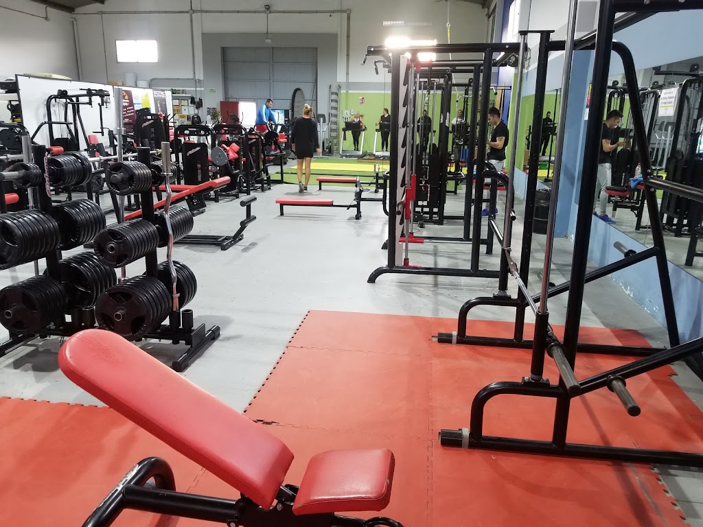 California Gym — Maquina de ejercicio