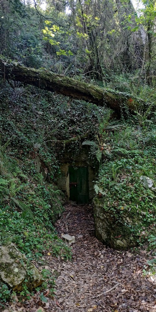 Cueva de El Juyo