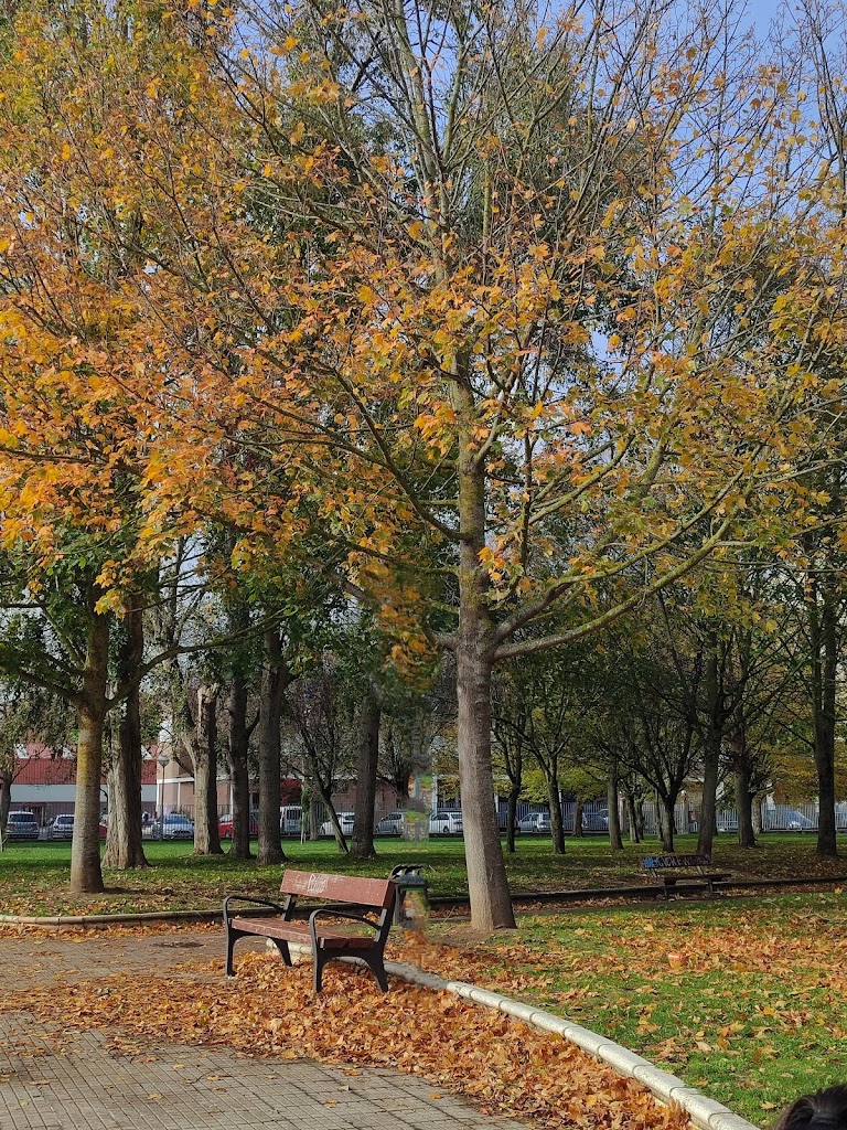 IPI SANSOMENDI SECUNDARIA