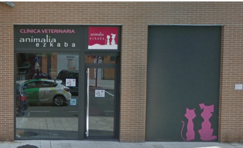 Clinica Veterinaria Animalia Ezkaba — Del propietario