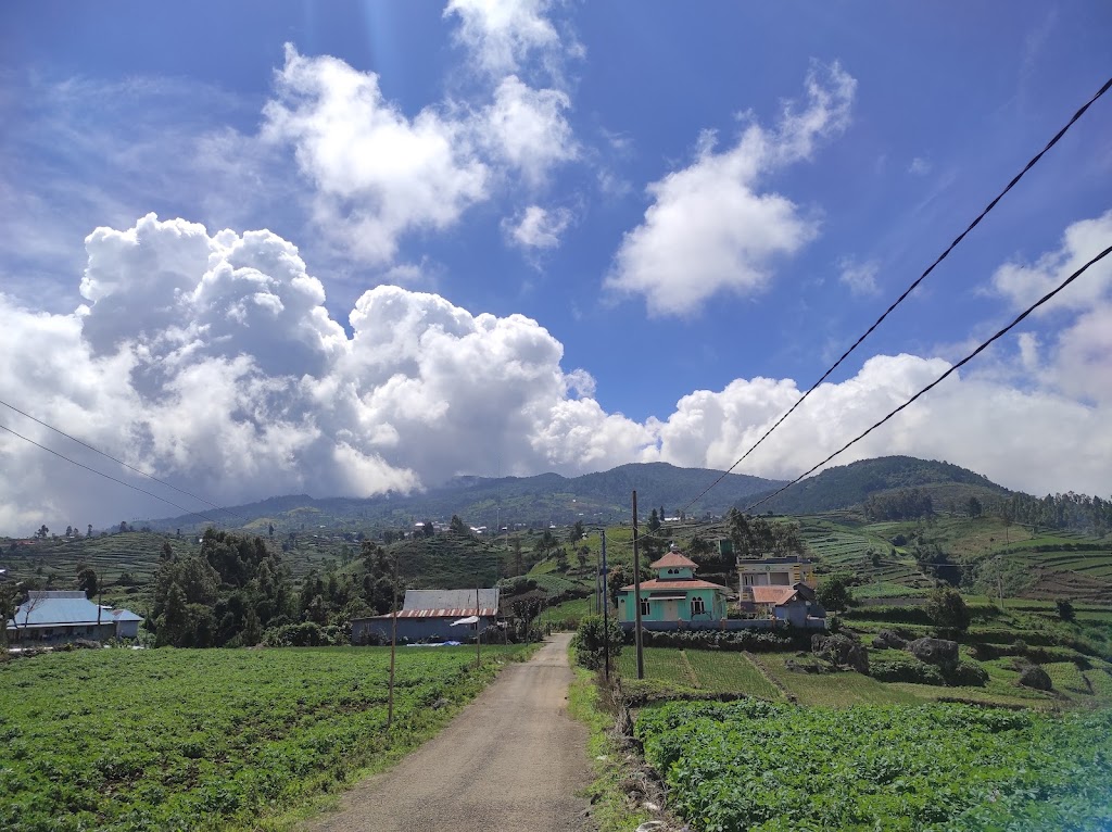 Muntea Camping Ground