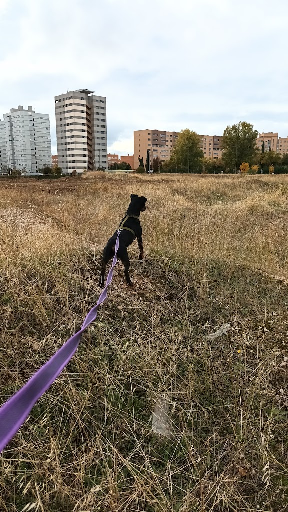 Examenes UNED - Madrid Sur