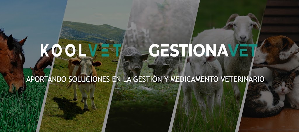 Koolvet Software Veterinario — Del propietario