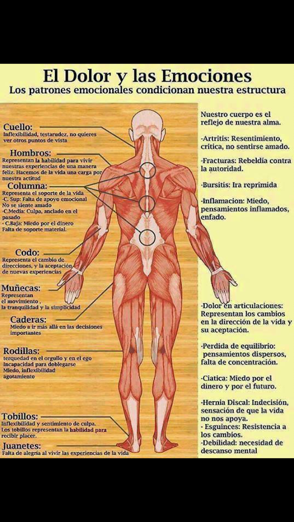 Centro de estetica Regenera — Carta