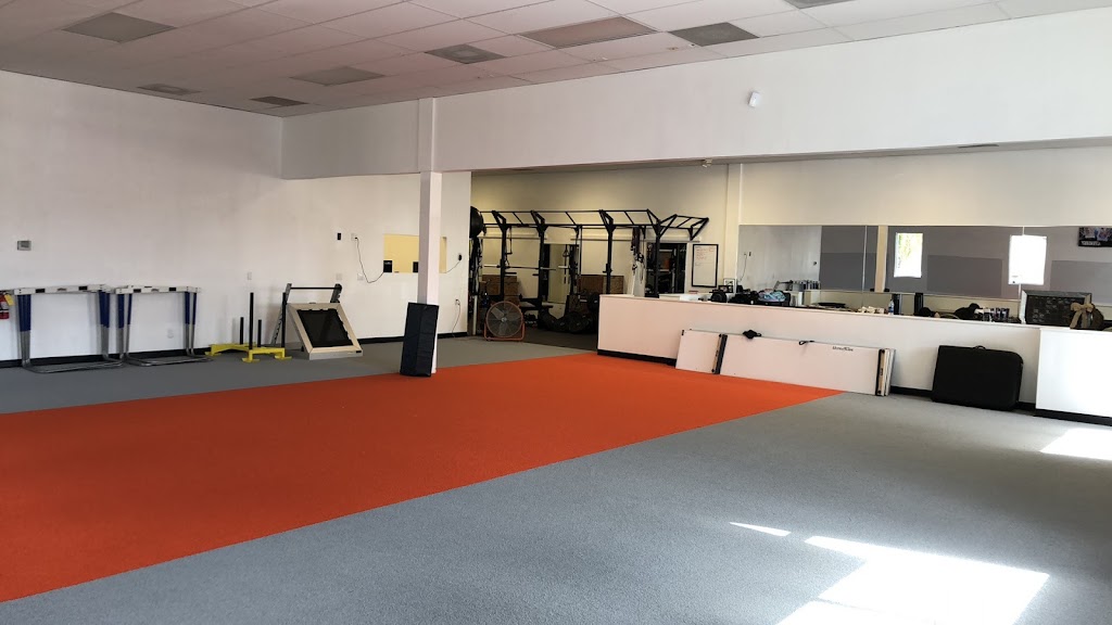  Dynamic Athletic Performance