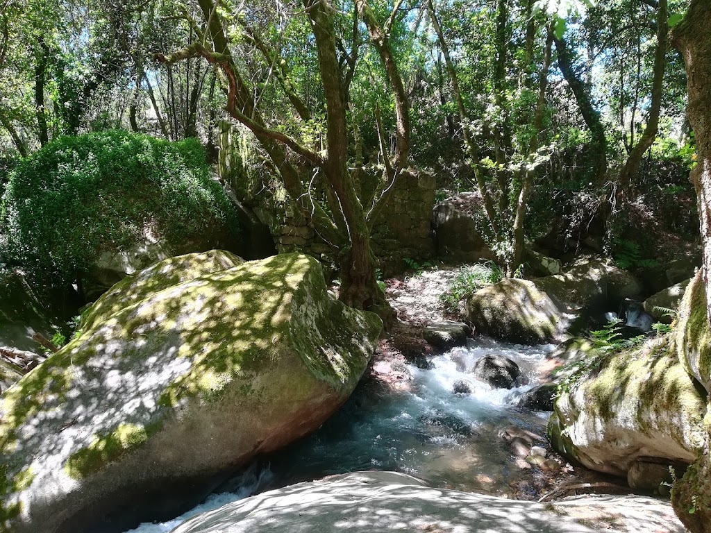 Sendeiro fluvial do Rio Minor