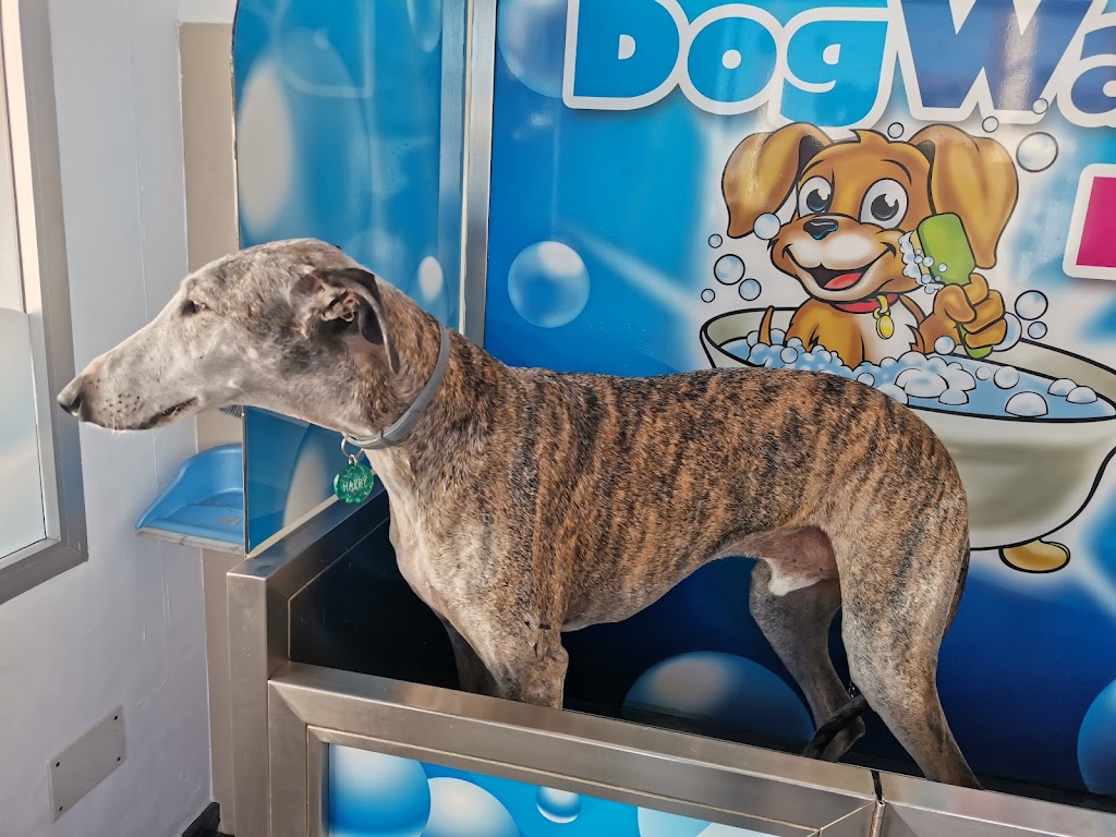 Lavamascotas Dog Wash DIY