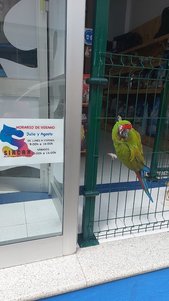 SIACAN PERROS Y GATOS