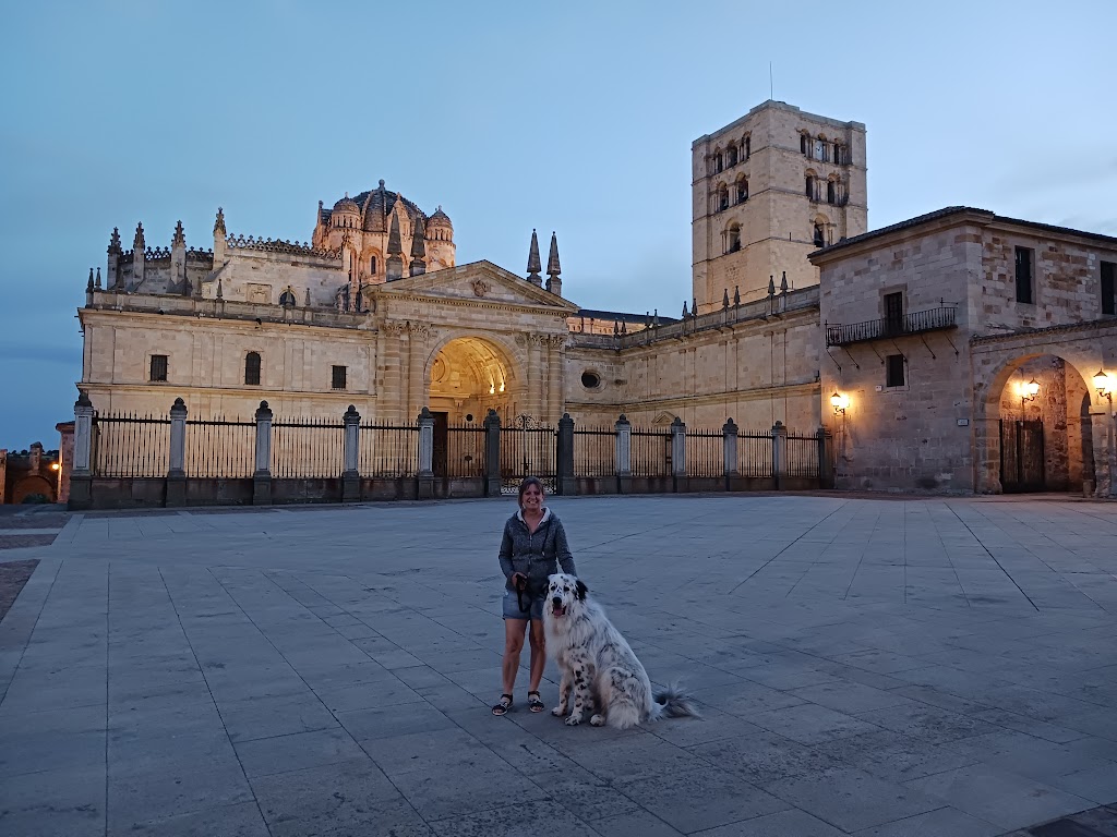 Parking Pisones, Zamora