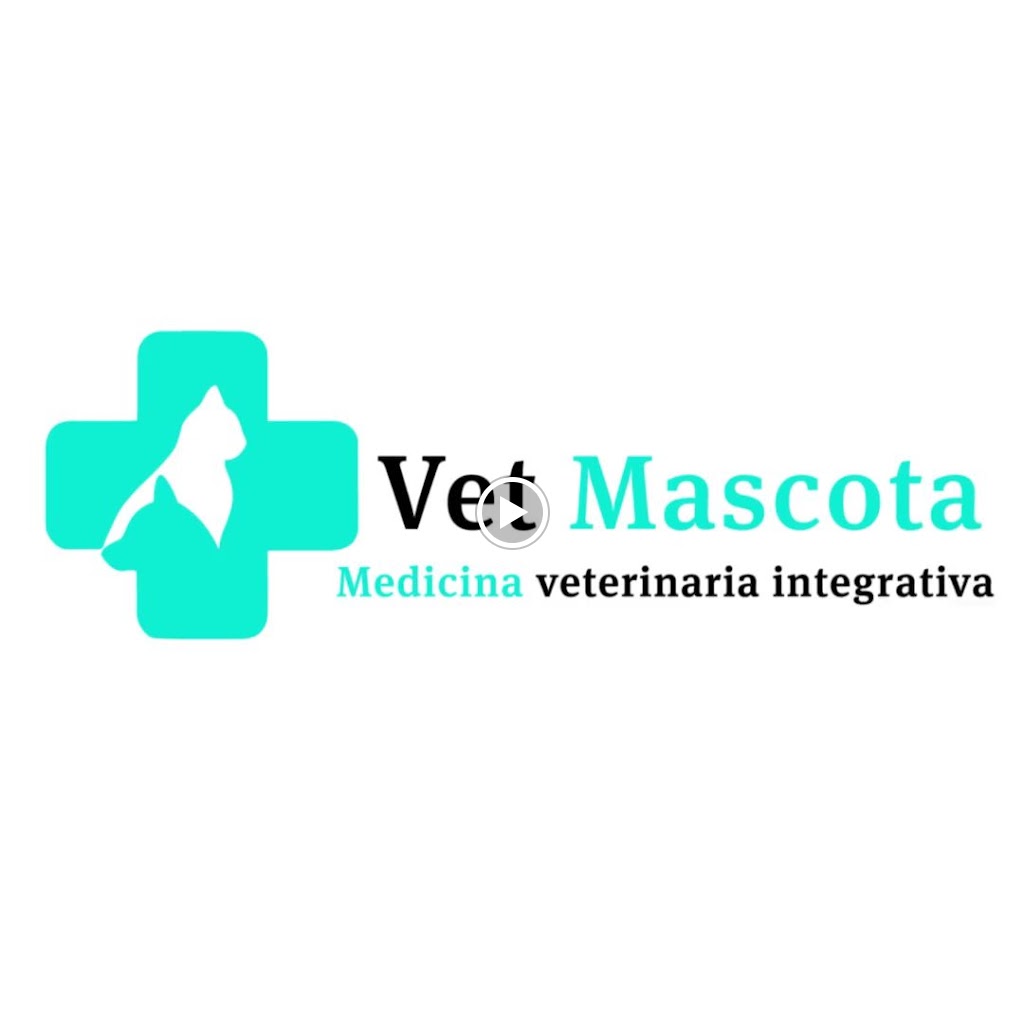 Veterinario Vetmascota — Del propietario