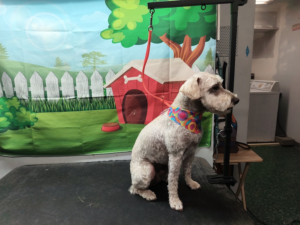 Diggity Dog Resort in Salt Lake City
