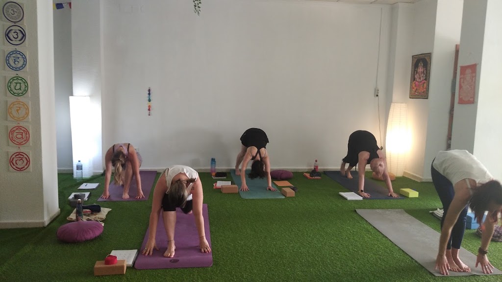 Ara Yoga y Bienestar — Yoga