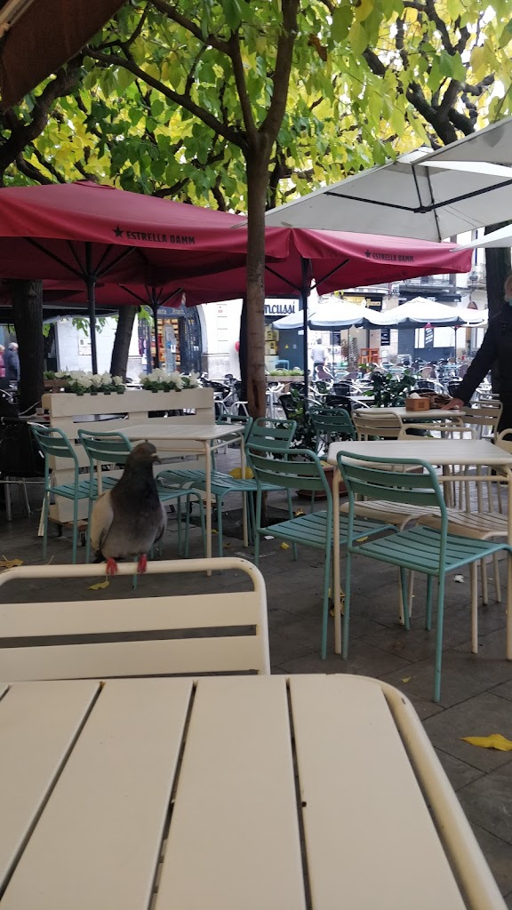 Orriols Panaderia - Cafeteria