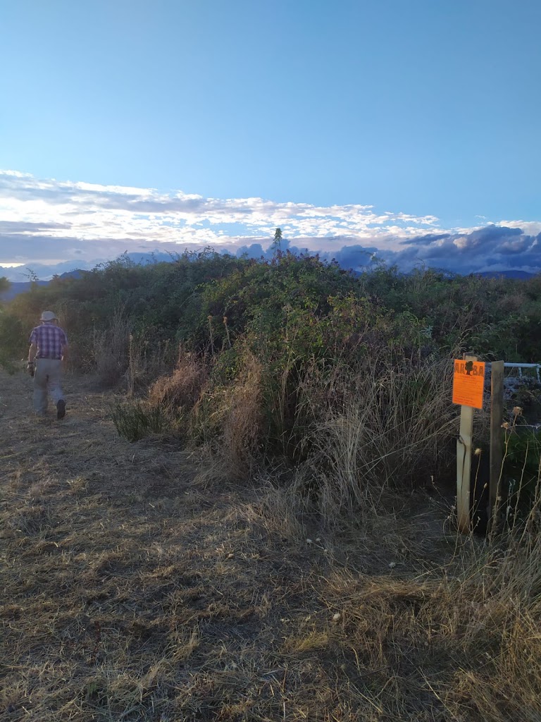 Plantacion ARBA Colmenar Viejo
