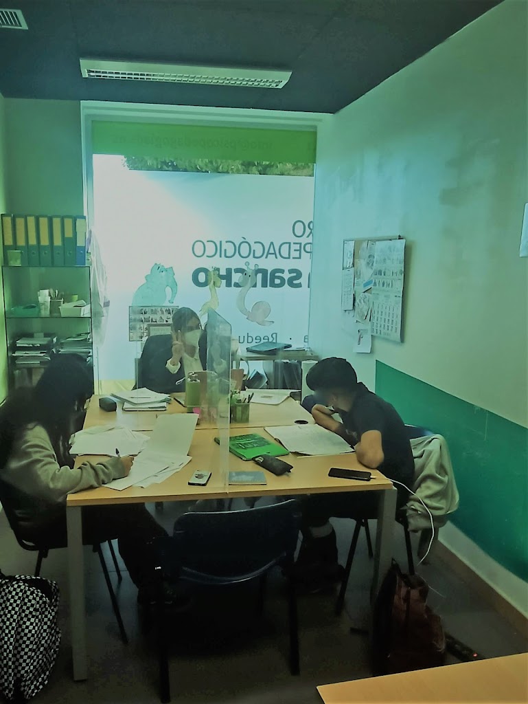 Centro Psicopedagogico Don Sancho S L L