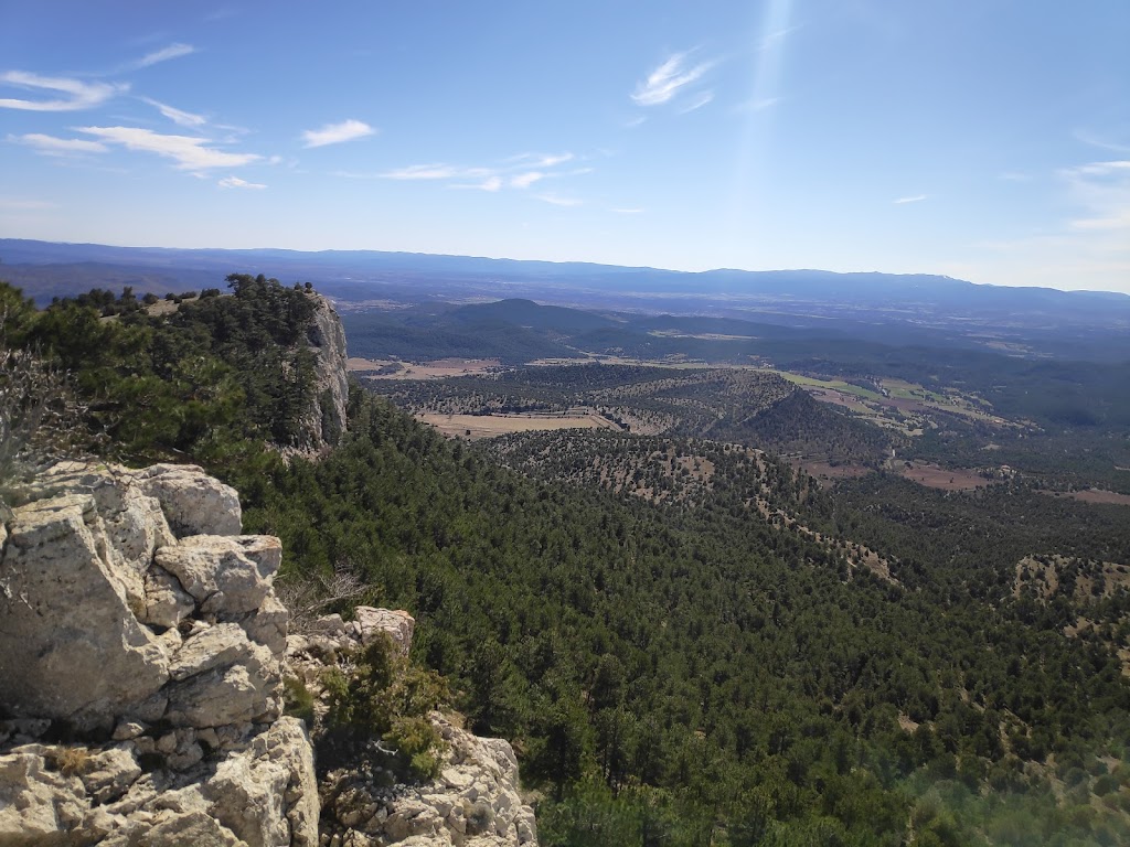 Pico Olmedilla (Altitud 1641 metros)