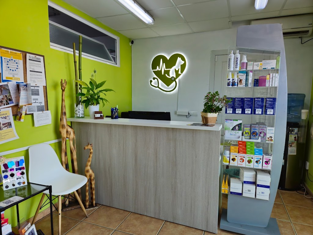 Clinica Veterinaria Ses Paises - Eivissa