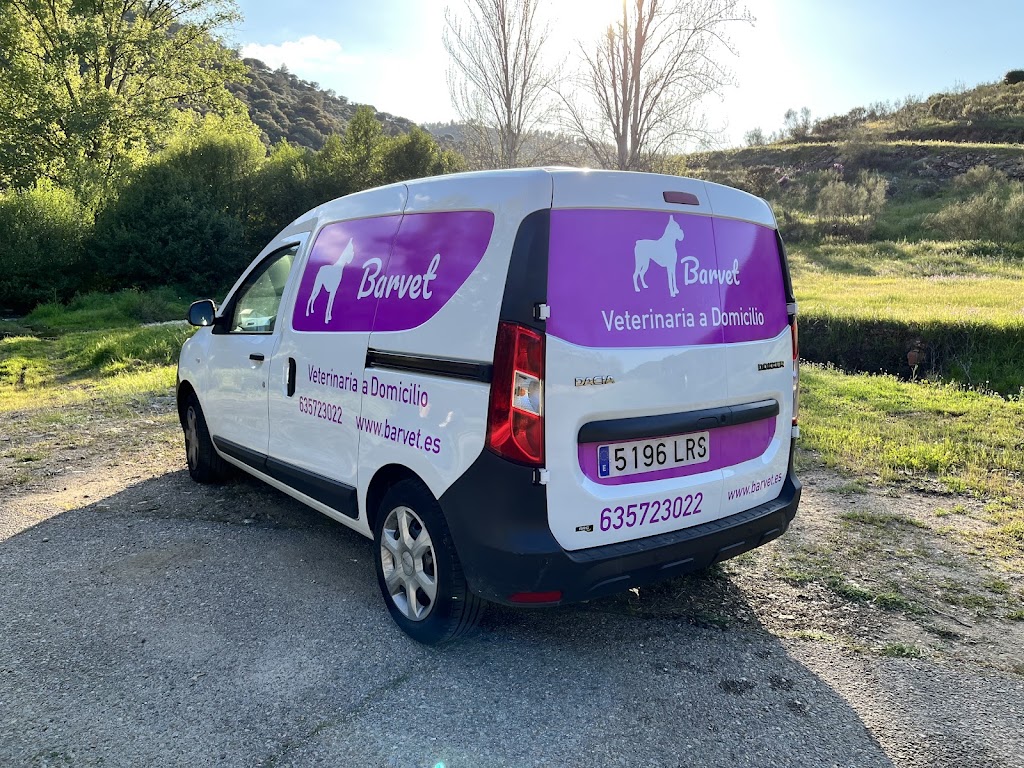 Barvet - Veterinaria Integrativa (Las Rozas y a domicilio) — Del propietario