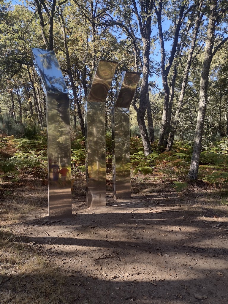 Camino de las Raices