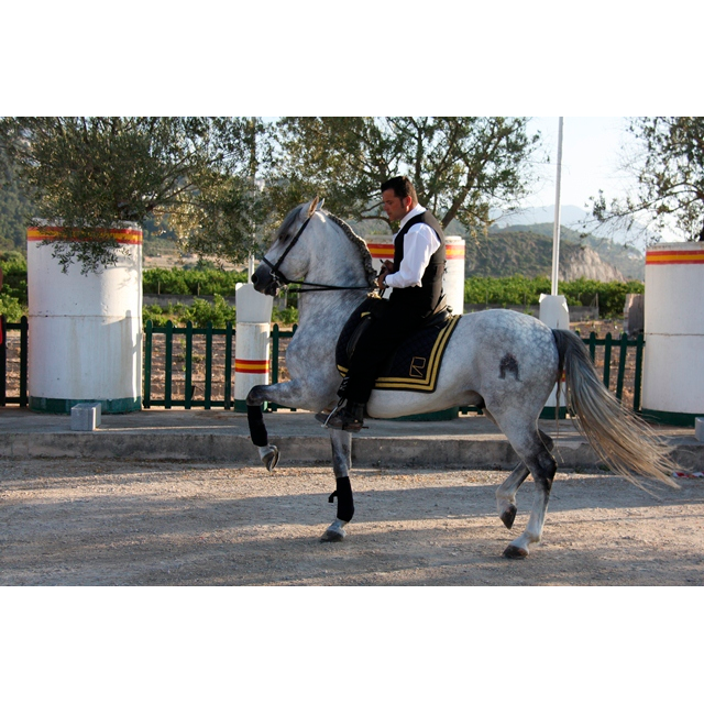 Los Robles, Centro Hipico