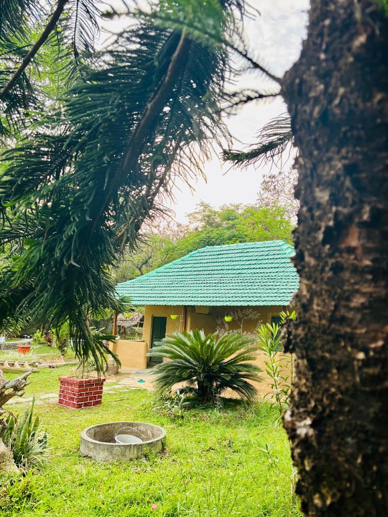 Cure Monastery An Ayurvedic Center And Resort
