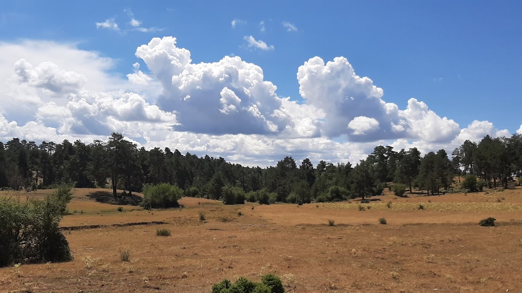 Sendero Dehesa de los Olmos