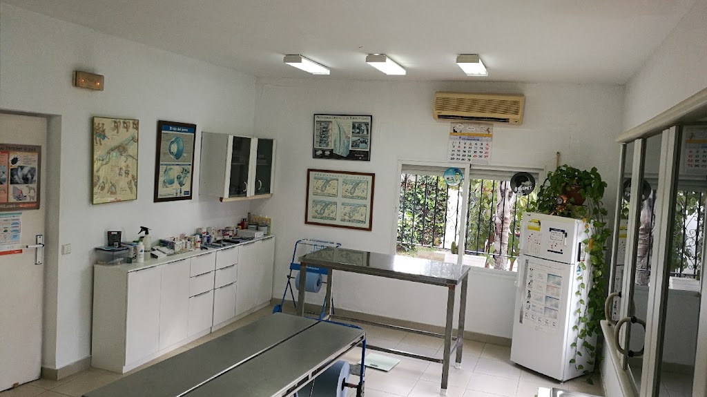 Clinica veterinaria Animal Club