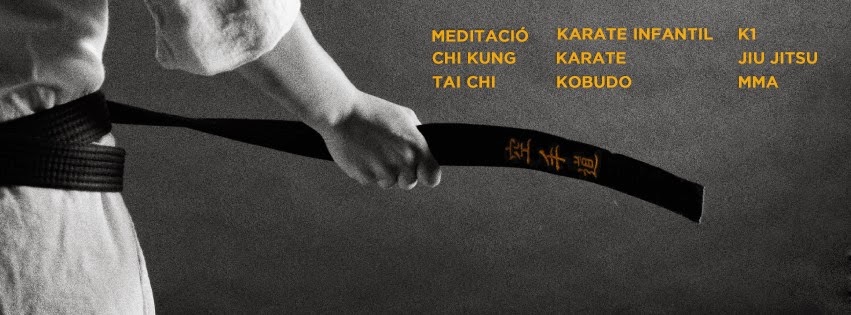 Academia d'Arts Marcials de Vilanova