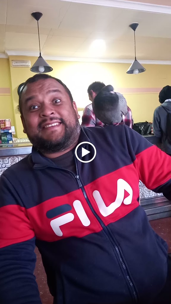Bar Madeira — Videos