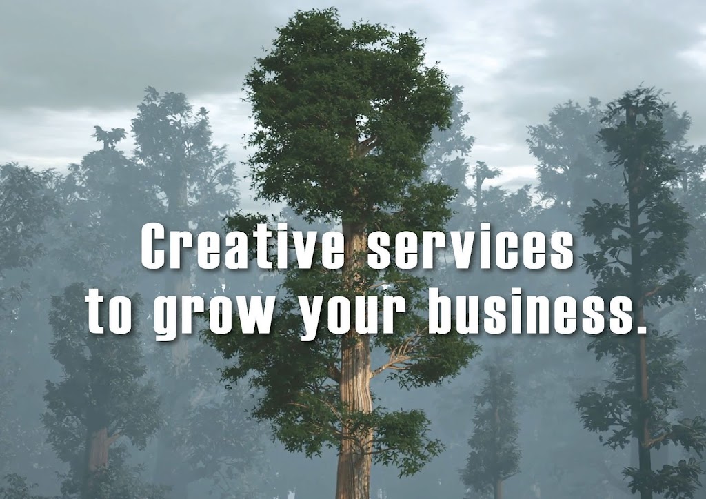 Ncs Advertising Design