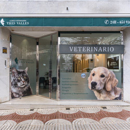 Tres Valles - Clinica Veterinaria 24h